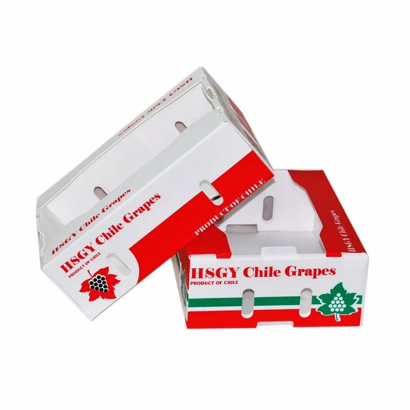 普通紙箱容易破損？泡沫箱太占空間？怎么解決果蔬海鮮物流運輸問題